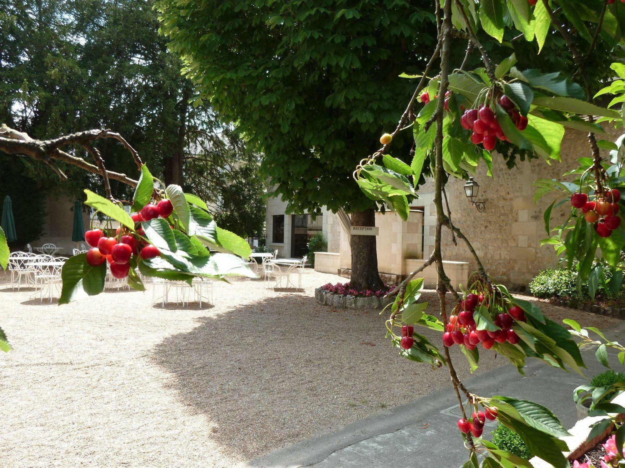Hotel Grand Monarque Azay-le-Rideau Ngoại thất bức ảnh